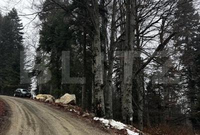 Teren unic, exclusivist  4000 mp, in inima muntilor, Sinaia - 13