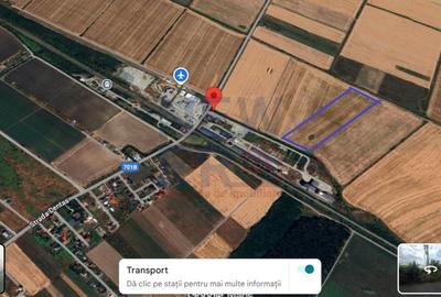 Teren agricol intravilan de 71300 mp, în Ciocănești - 6