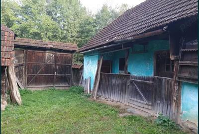 Casă cu 2 camere cu Teren 640 Mp în Tărcăița - 3