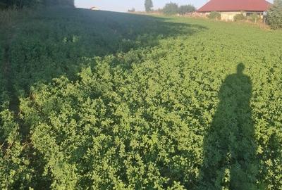 Spațiu comercial, în Central - 3