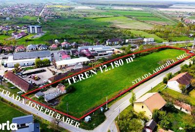 Teren de 12180 mp, în Burdea - 3
