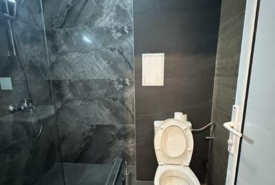 Calea Bucuresti-Garsoniera de inchiriat - 2