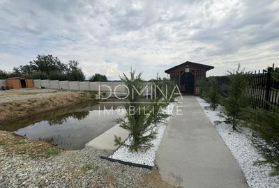 Spa?iu comercial la doar 50 m de DN 67 Calnic - 6