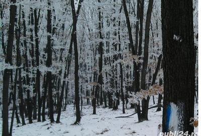 Teren de 16950 mp, în Blaj - 2