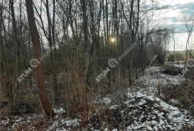 Teren Intravilan 1600 mp in Avrig zona Valea Avrigului Teren Intravilan 1600 mp in Avrig zona Valea Avrigului - 2