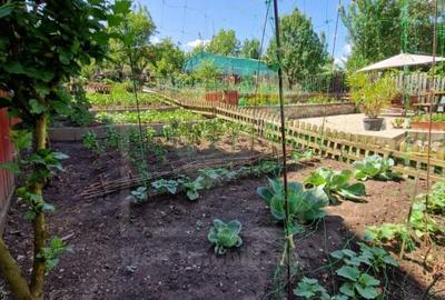 Colt de Rai in Mera – Casa cu Gradina si Livada, la doar 14 km de Cluj-Napoca - 4