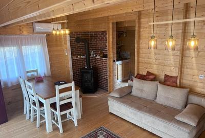 Casa  sat de vacanta Podari - 5