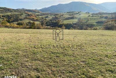 Teren de 972 mp, în Gura Râului - 7