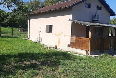 Casă cu 5 camere cu Teren 1675 Mp în Pestișu Mic - 4
