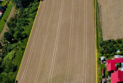 Spațiu comercial, în Zigoneni - 8