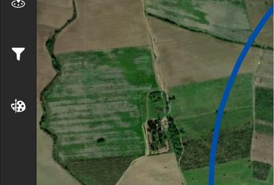 Teren agricol extravilan de 137660 mp, în Giroc - 1