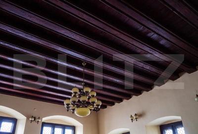 Casa Ion Zidaru, monument istoric, 597 mp utili, zona Centra - 4