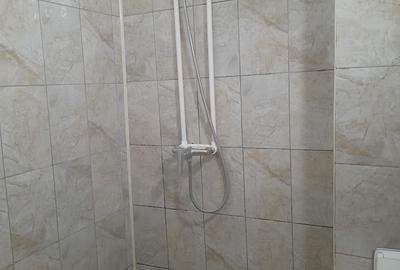 Garsonieră decomandată în Odaia Manolache - 10