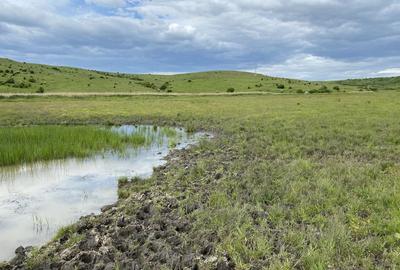 Spațiu comercial, în Mica - 6