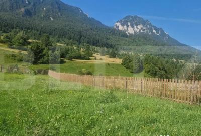 Teren de 1004 mp, în Zărnești - 1