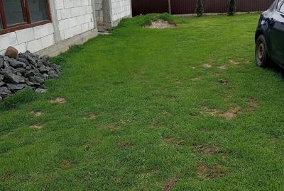 Casă cu 4 camere cu Teren 895 Mp în Vadu Pașii - 2