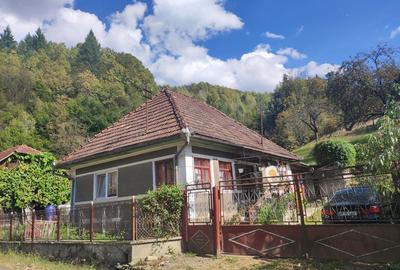 Casă cu 4 camere în Hălmagiu - 1