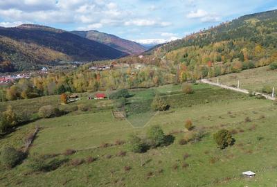 Teren de vanzare in Leresti - ideal pentru casa sau pensiune la munte - 9