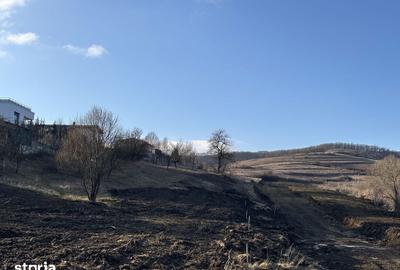 Teren de 800 mp, în Borhanci - 1