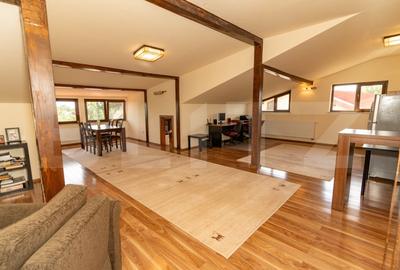 Vila exclusivista, de vanzare, cu 8 camere, 400 mp, zona Peris - 19