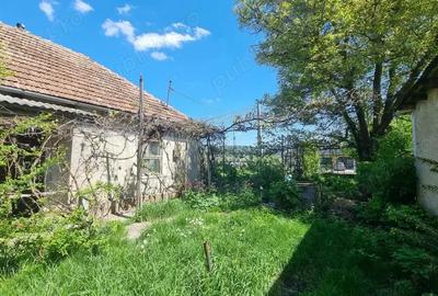 De vanzare casa in Bon?ida cu teren generos - 10