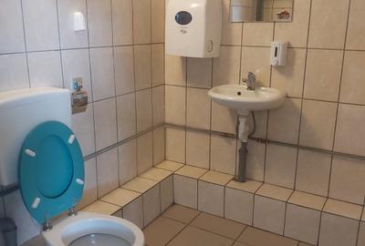 Spatiu Comercial Sibiu - 19