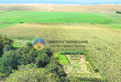 TEREN intravilan 9.126 mp - comuna STEFAN cel MARE - 6