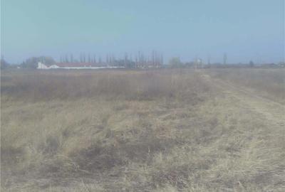 Teren de 8900 mp, în Șimian - 1