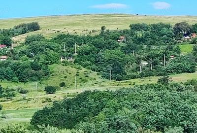 Teren de 5000 mp, în Boboci - 7
