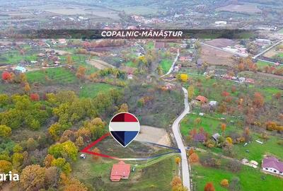 Teren de 3000 mp, în Copalnic - 2