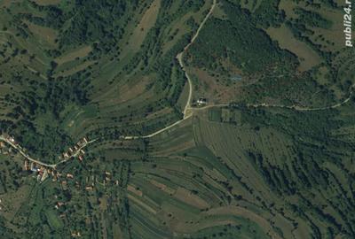 Teren de 18527 mp, în Cerbăl - 4