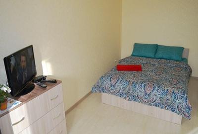 Apartament o camera de inchiriat in zona Someseni-Selgros - 1