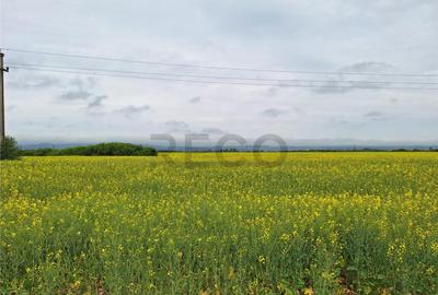 Reco, teren intravila la E60 sacadat - 1