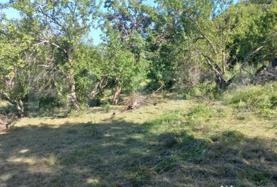 Teren în Vințu de Jos - 1