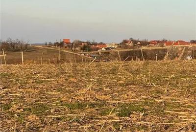 Teren de 2000 mp, în Spitalul Județean - 5