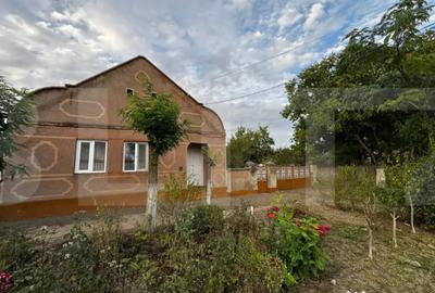 Casă cu 4 camere cu Teren 3892 Mp în Cebza - 2