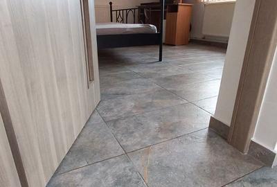 Casă cu 3 camere cu Teren 500 Mp în Narcisa - 8