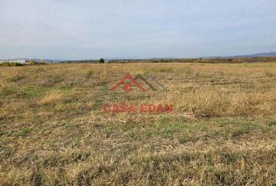 Teren intravilan in Baicoi zona targului--10.000mp--5e - 10