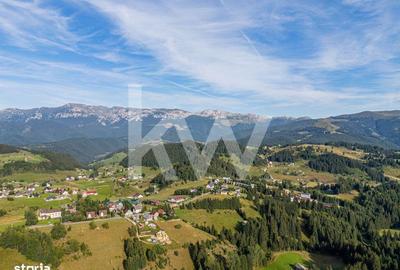 Teren de 18044 mp, în Dâmbovicioara - 12