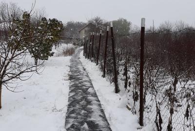 Pitaru, Dambovita - 4