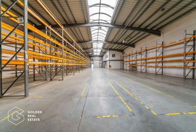 Spațiu industrial, de 704.71997070313 mp, în Aradul Nou - 28
