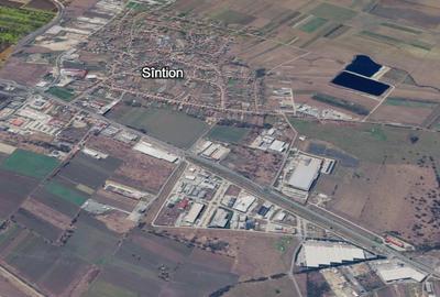 Teren agricol intravilan de 6000 mp, în Sântion - 2