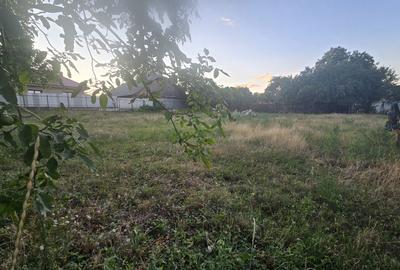 Spațiu comercial, în Păunești - 4