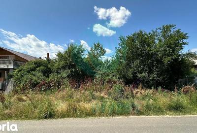 Teren de 16534 mp, în Gruiu - 5