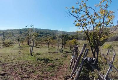 Teren de 7382 mp, în Central - 7