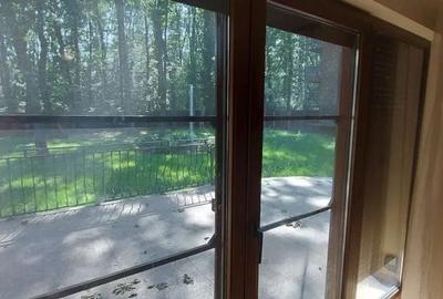 Vila de inchiriat | Corbeanca | 6 camereI piscina - 10