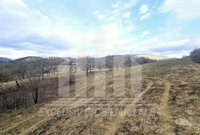 Teren intravilan de vanzare, Geogiu de Sus - 5