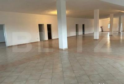 Spațiu comercial, de 430 mp, în Panic - 4