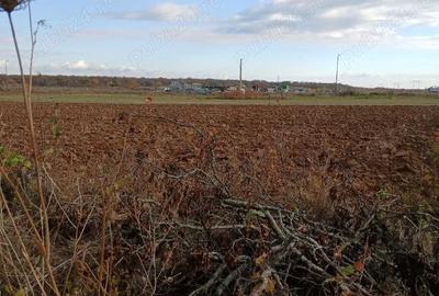 Teren de 5000 mp, în Urleta - 1