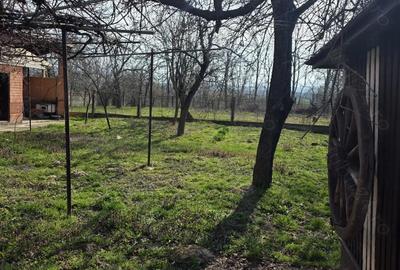 Casă cu Teren 2800 Mp în Totești - 3